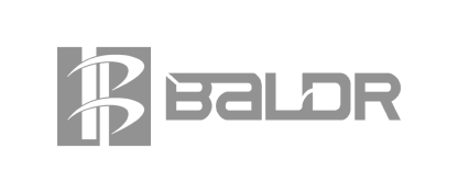 Baldr Logo