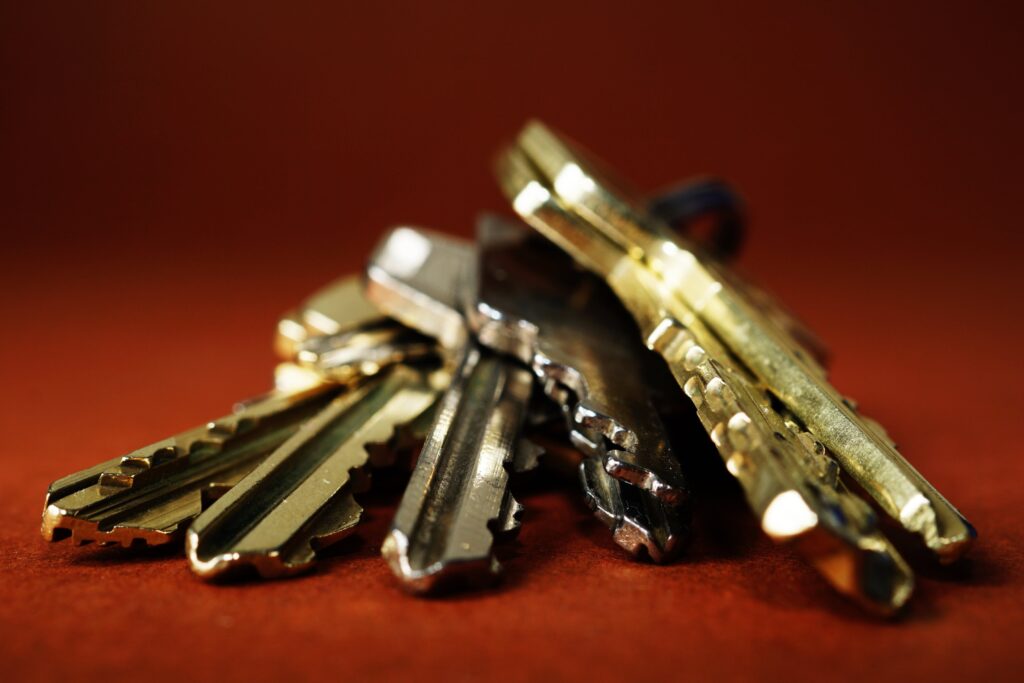A close up of 7 shiny house keys against a reed background 